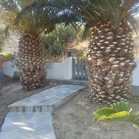 Starfish *